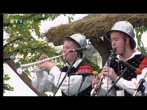 Loborfest 2014 Ansambel Jug - Bi rada gasilca