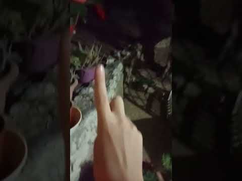 Una squadra invincibile ft Miia , Ale King e Martina Flower (Video Official)💃💃🕺