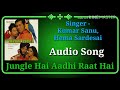 Jungle Hai Aadhi Raat Hai Biwi No 1 Kumar Sanu Hema Sardesai