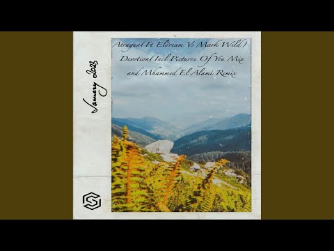 Devotion (Pictures Of You Mix)