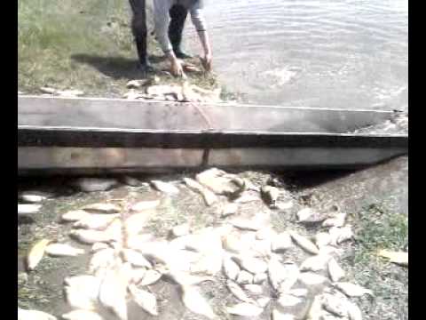 Populare Lac Halceni martie 2013