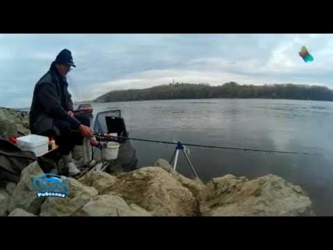 Čari Ribolova - Bezdanske lepojke - HiT Feeder