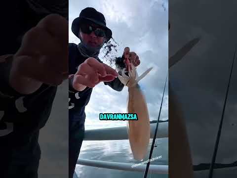Mürekkebi Günlerce Çıkmıyor! 😱