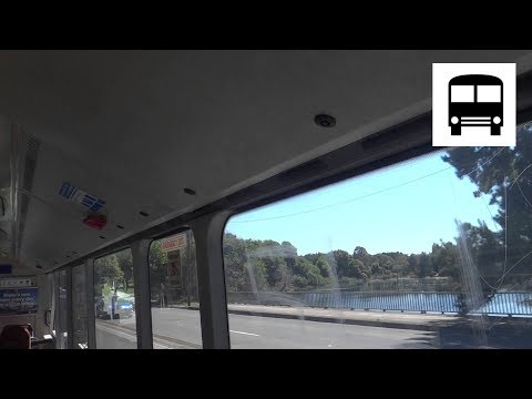 Mercedes-Benz O405NH CNG (Custom Coaches) - State Transit Bus 309 (Sydney Buses, Part One)