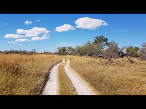 Track from Third Bridge to South Gate, Moremi Game Reserve