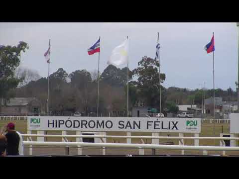 SINT HIPODROMO SAN FELIX, PAYSANDU- EN VIVO - 18/07/26