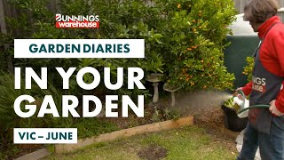 Gardening in June | Victoria | Bunnings Garden Diary