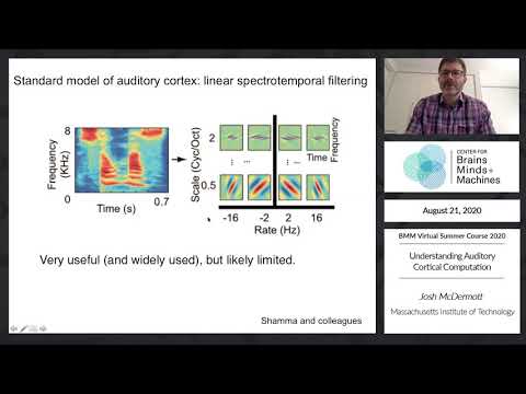 Understanding Auditory Cortical Computation