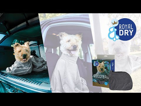DoggyDry - DoggyBag (EN)