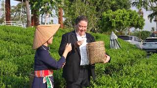 25 10 CLIP DAU TU PHUONG LINH   LAI