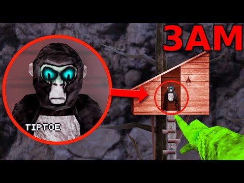 I Hunted TIPTOE at 3AM...