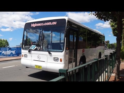 Big Bus Co M/O 1491 - Mercedes-Benz O305 (W3D/Coachworks Orana)