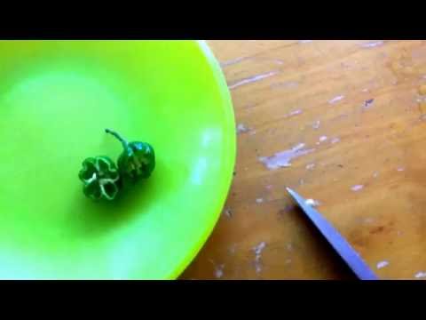 Cutting open a Carolina Reaper in first person