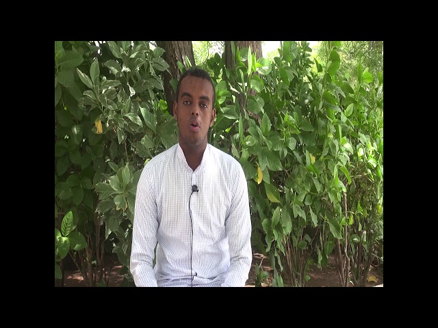 Indian Ocean University video #4