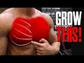 3 Best Exercises for Chest Mass! (NOT BENCH!)