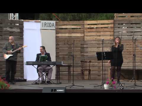 Részletek a IX. Gödör Napról - 2014. augusztus 16.