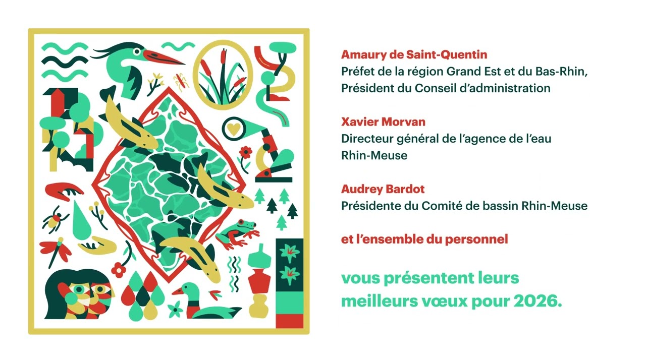 Image d'illustration de la vidéo