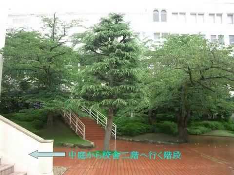 【神戸海星女子学院大学】スライドショー