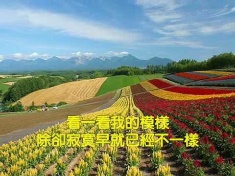 張學友【擁抱陽光】歌詞 愛は勝つ 中国語 KAN ピンイン付日本語訳｜C-POPマニア〜中国語歌詞の和訳〜