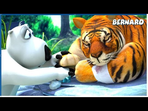 Wildlife Reserve | Bernard | 110' Compilation