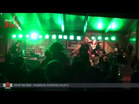 365 - Eye of  the tiger (Cover) - 365