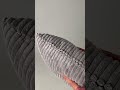 Youtube-видео 