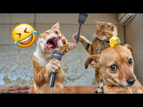 Cats Movie reaction first time watching | News views & updates #pets #shorts