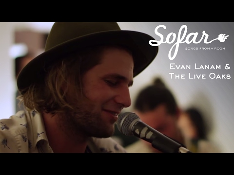 The Live Oaks video