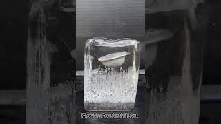 Molten Aluminum vs Ice 🧊 #moltenaluminum #ice