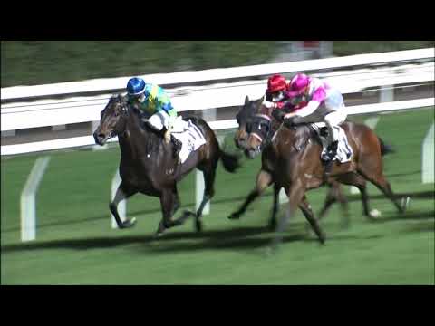 23/12/2020 (289) Happy Good Guys - C Soumillon