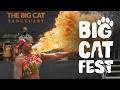 The WORLD'S FIRST festival dedicated to wild cats! | The Big Cat Sanctuary