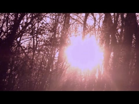 Prins Obi - Notions (Official Video)