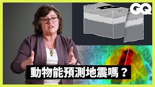 [爆卦] 地震是隨機的，無法預測