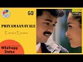 Ennavo Ennavo Priyamaanavale WhatsApp Status 60fps Thalapathy Vijay Simran Vaalee