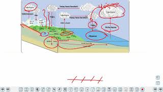 Eğitim Vadisi AYT Coğrafya 1.Föy Ekosistemlerin Özellikleri ve İşleyişi 3 (Enerji Piramidi, Madde Döngüleri) Konu Anlatım Videoları