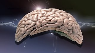 25 Mind Bending Scientific Truths To Challenge Your Brain