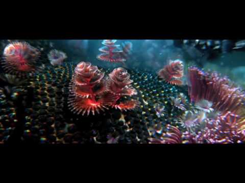 ShapeShifter - Animated Cartoon for Kids