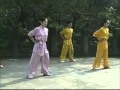 wushu basic training (English)