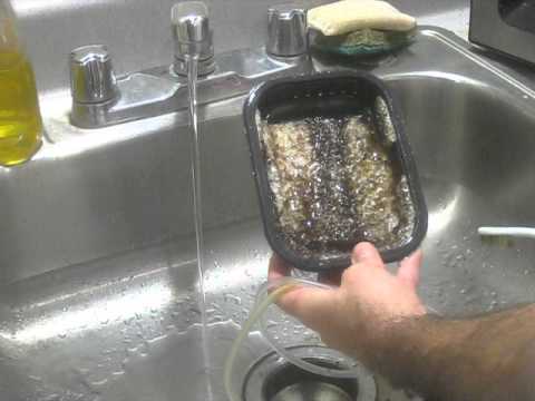 Santa Monica Filtration HOG1 UAS - first 7 day cleaning - saltwater with high nutrients