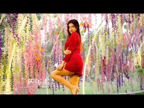 Kashika Sodhi Introductio...