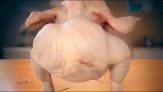 Cover art for number 15