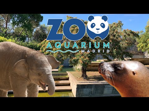 image-Are there any zoos in Spain?