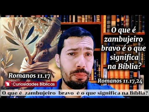 What is wild olive and what does it mean in the Bible?