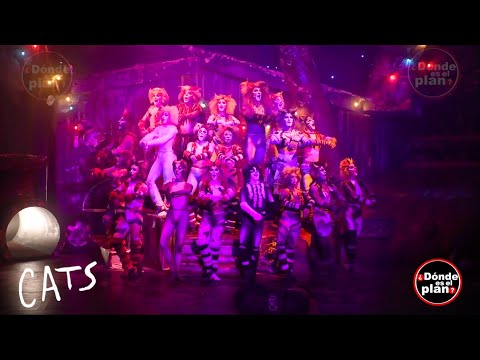 Prólogo: Canción jelical para un gato Jélico