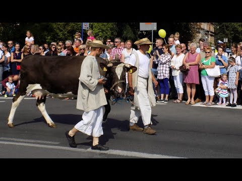 Gwarki 2017 - pochód historyczny: część I