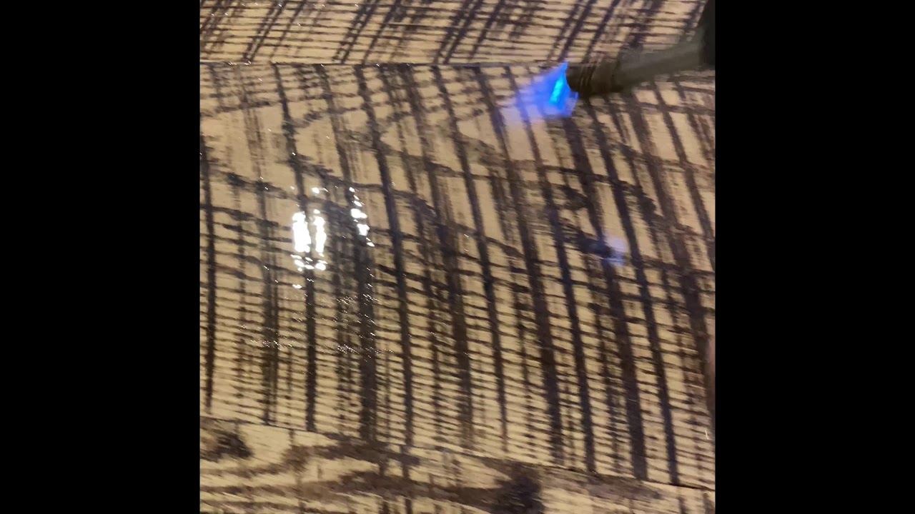 Why are the leaves turning yellow? Zandex