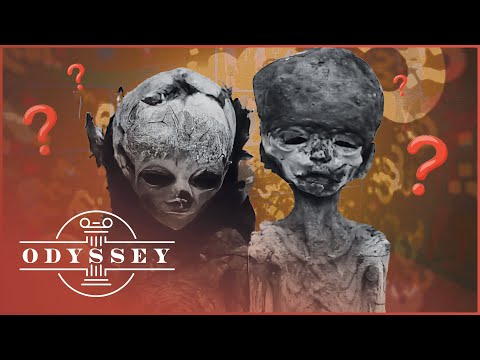 These Fetuses Could Explain The Fall Of Tutankhamun's Family Dynasty | Private Lives | Odyssey