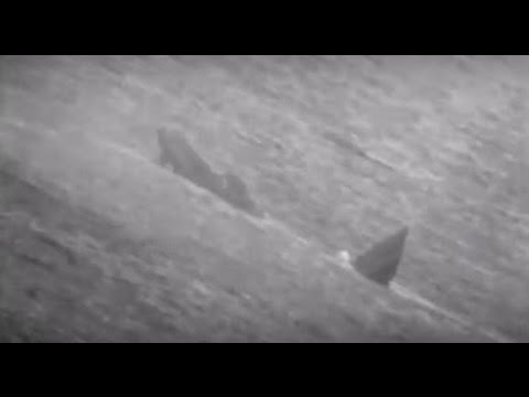 USS Rentz Sinkex During Exercise Valiant Shield 2016