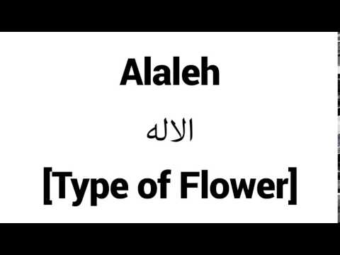 How to Pronounce Alaleh! - Middle Eastern Names