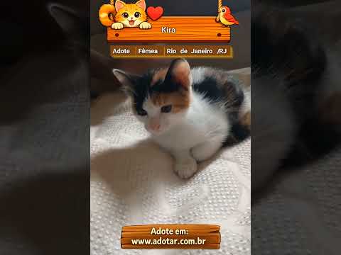 Vídeo de Kira